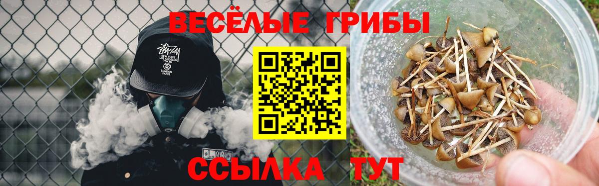 Галлюциногенные грибы мухоморы  Вход с VPN  Галлюциногенные грибы мухоморы  Павловский Посад 